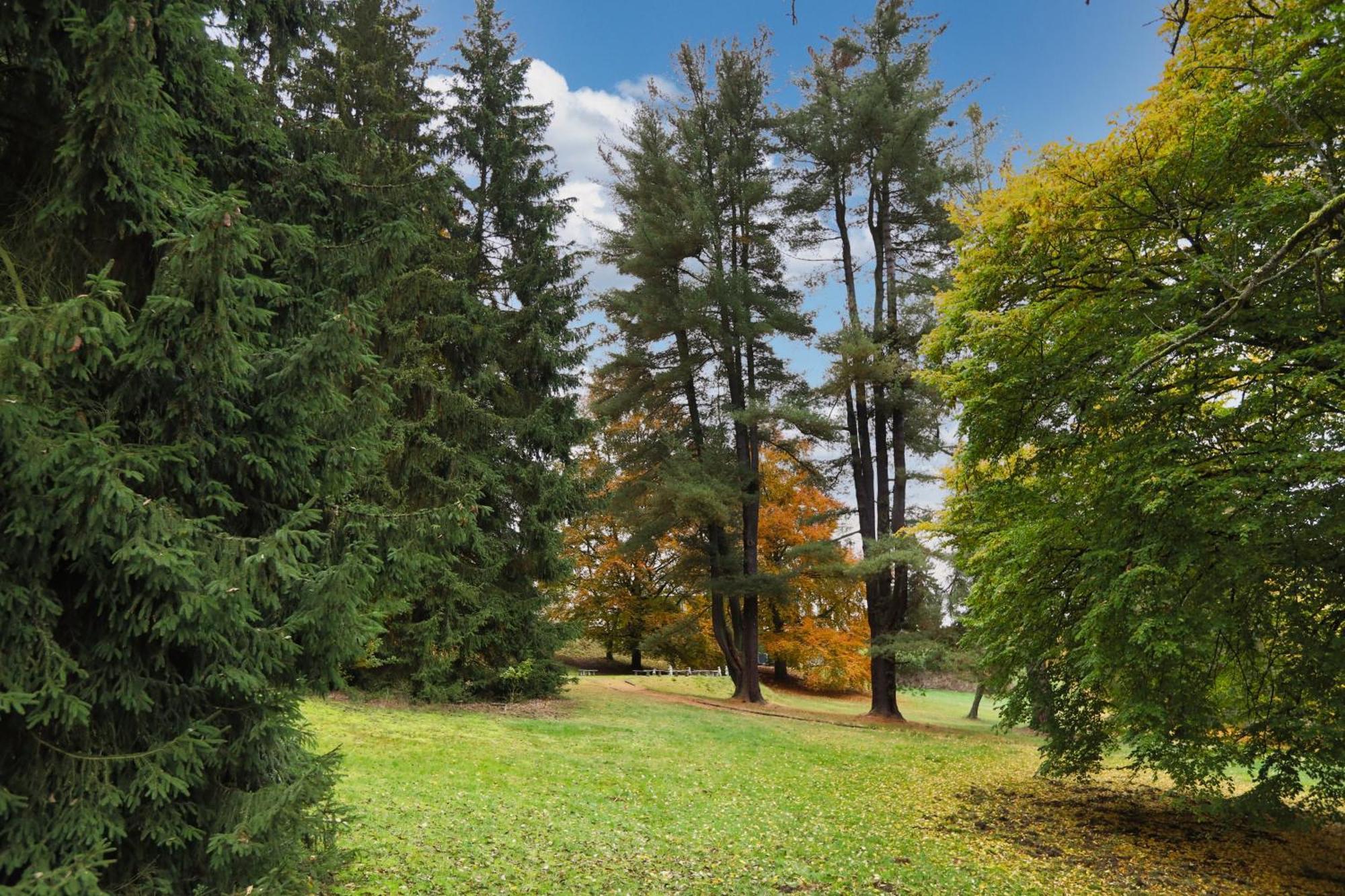 Pension U Golfu Cihelny Karlovy Vary Dış mekan fotoğraf