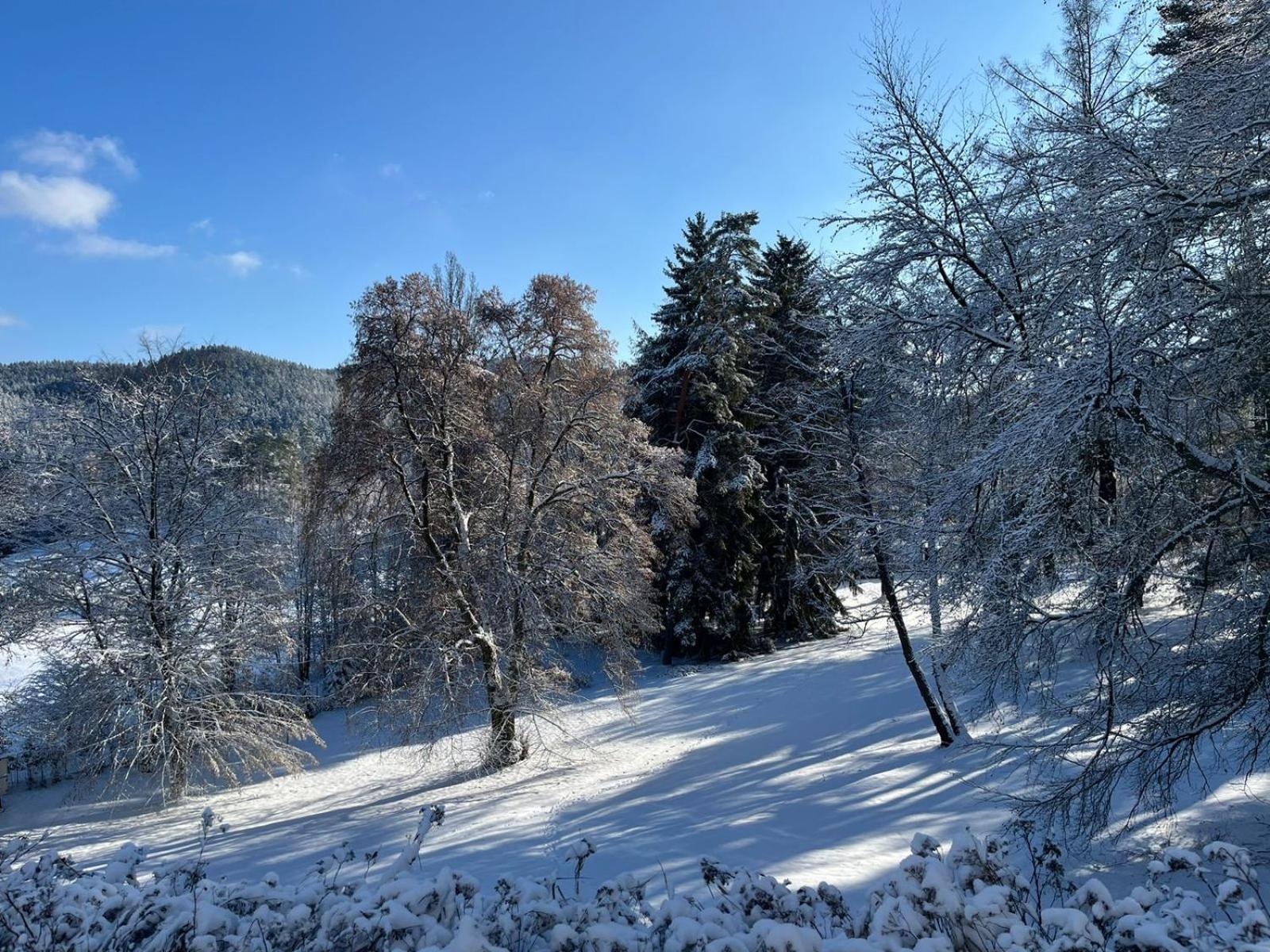 Pension U Golfu Cihelny Karlovy Vary Dış mekan fotoğraf