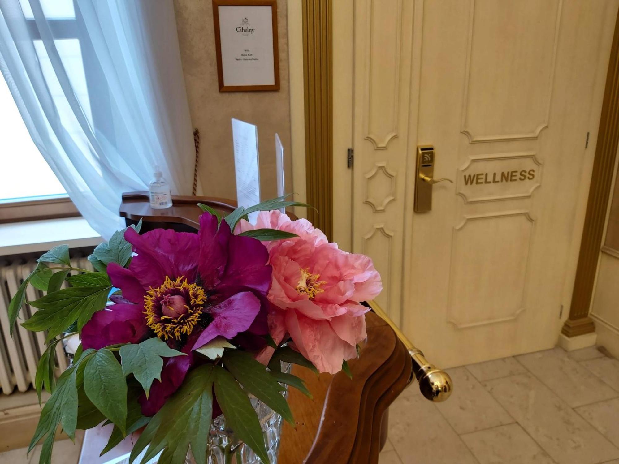 Pension U Golfu Cihelny Karlovy Vary Dış mekan fotoğraf